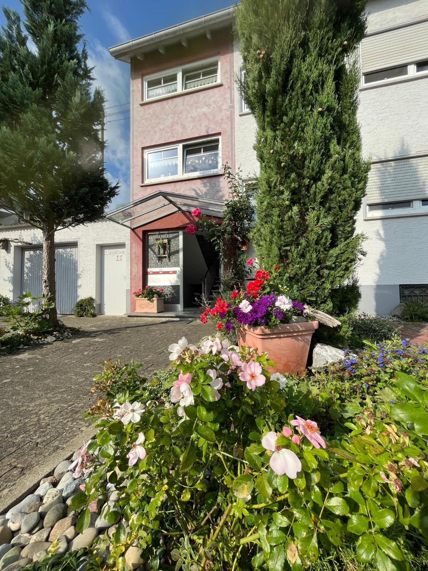 Schoene Wohnung, Bodenseenaehe Ράβενσμπουργκ Εξωτερικό φωτογραφία